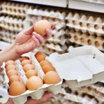 Egg production in Kyrgyzstan rises by almost 25% in first quarter of 2026