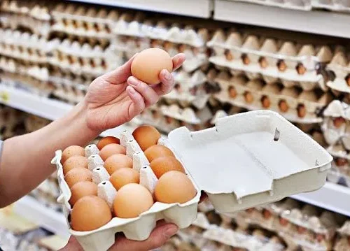 Egg production in Kyrgyzstan rises by almost 25% in first quarter of 2026