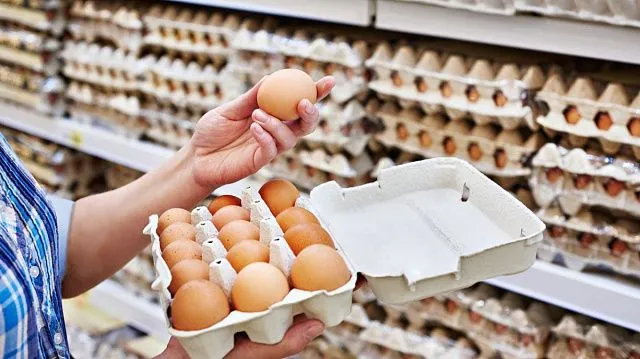 Egg production in Kyrgyzstan rises by almost 25% in first quarter of 2026