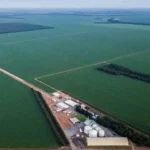Russia and Brazil strengthen their agro-industrial cooperation