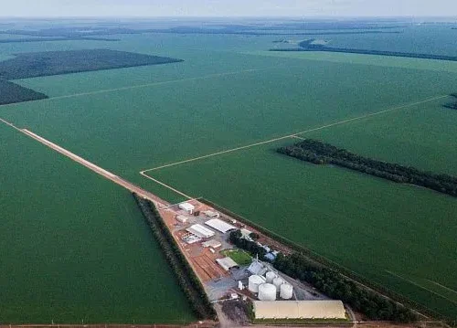Russia and Brazil strengthen their agro-industrial cooperation