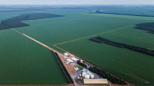 Russia and Brazil strengthen their agro-industrial cooperation