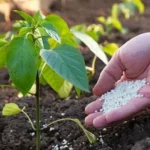 Exports of Russian agricultural technologies rise by 6% in 2026, reaching US.9 billion