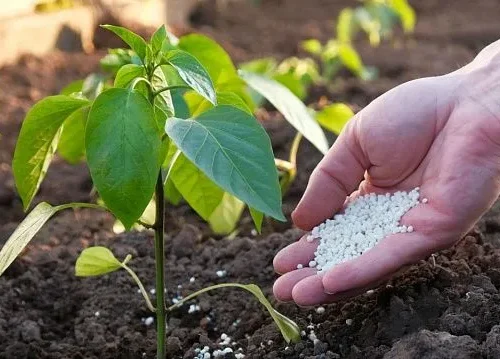 Exports of Russian agricultural technologies rise by 6% in 2026, reaching US.9 billion