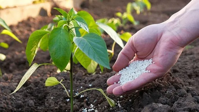 Exports of Russian agricultural technologies rise by 6% in 2026, reaching US.9 billion