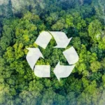 UAE modernises waste treatment facility to boost recycling capacity