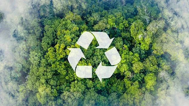 UAE modernises waste treatment facility to boost recycling capacity