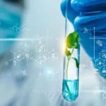 South African scientists discover potential of medicinal shrub against hard-to-treat cancers