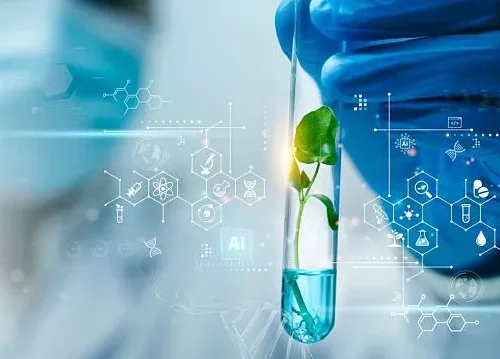 South African scientists discover potential of medicinal shrub against hard-to-treat cancers