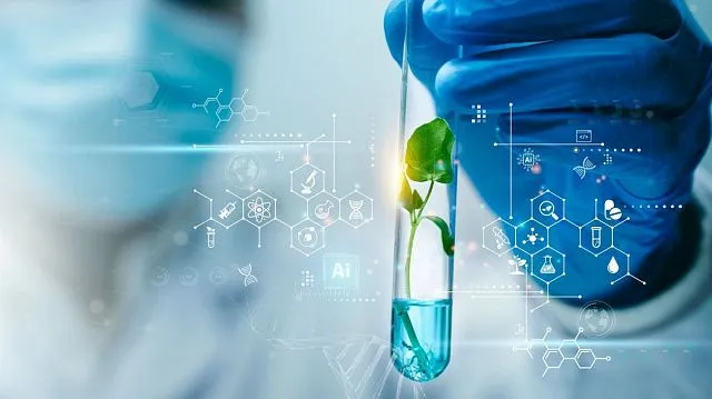 South African scientists discover potential of medicinal shrub against hard-to-treat cancers
