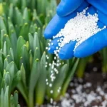 Brazil to build nitrogen fertiliser plant by 2029