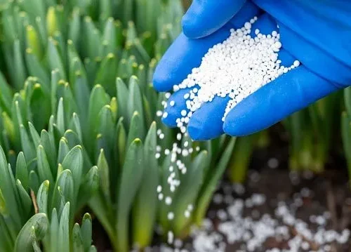Brazil to build nitrogen fertiliser plant by 2029