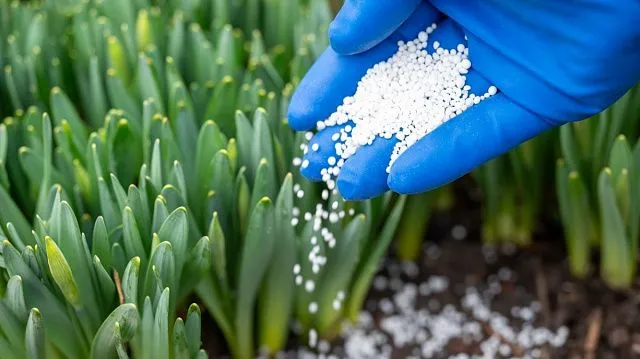 Brazil to build nitrogen fertiliser plant by 2029