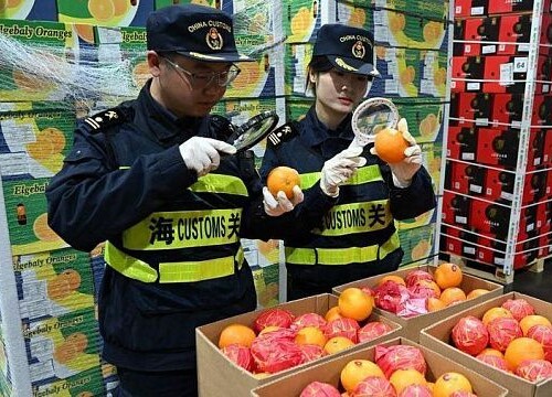 Chinese customs deploy AI-powered biosecurity systems to strengthen border protection