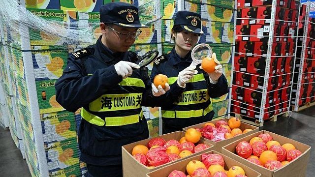 Chinese customs deploy AI-powered biosecurity systems to strengthen border protection