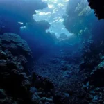 Chinese scientists unravel mystery behind formation of more than 40,000 undersea peaks