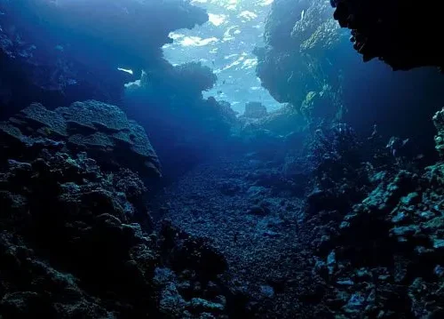 Chinese scientists unravel mystery behind formation of more than 40,000 undersea peaks