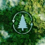 India restores over 21 million hectares of degraded land in push towards 2030 target