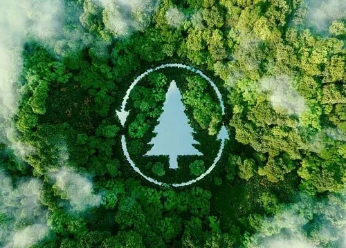 India restores over 21 million hectares of degraded land in push towards 2030 target