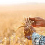South Africa achieves record agricultural trade surplus in first quarter of 2026