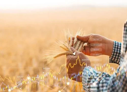 South Africa achieves record agricultural trade surplus in first quarter of 2026