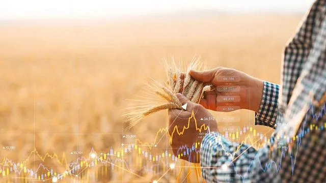 South Africa achieves record agricultural trade surplus in first quarter of 2026
