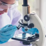 International scientists use plant extracts to create silver nanoparticles with potential applications in cancer treatment