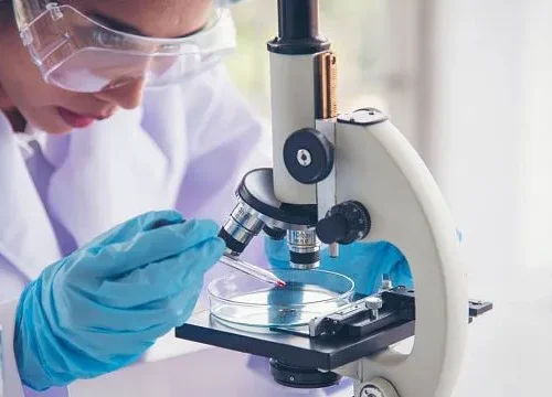 International scientists use plant extracts to create silver nanoparticles with potential applications in cancer treatment