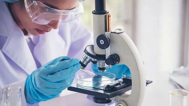 International scientists use plant extracts to create silver nanoparticles with potential applications in cancer treatment