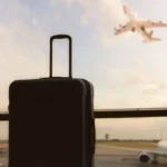 Egypt attracts record number of Uzbek tourists in first half of 2026