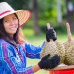 China remains Vietnam’s largest agricultural export market as durian shipments drive record trade