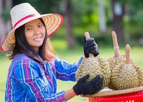 China remains Vietnam’s largest agricultural export market as durian shipments drive record trade