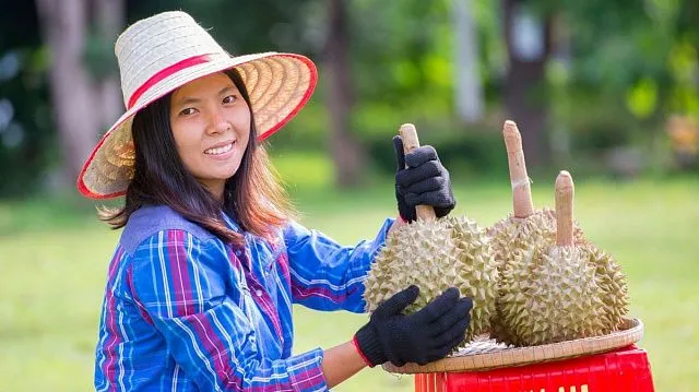 China remains Vietnam’s largest agricultural export market as durian shipments drive record trade