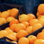 Zimbabwe increases citrus production as export volumes rise
