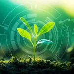 South Africa launches scientific initiative linking space research and agriculture