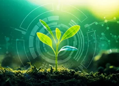 South Africa launches scientific initiative linking space research and agriculture