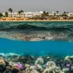 Egypt modernises nature reserves and ports along Red Sea to protect coastal and marine ecosystems