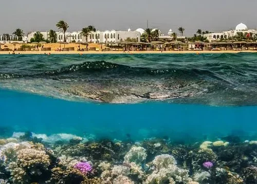 Egypt modernises nature reserves and ports along Red Sea to protect coastal and marine ecosystems