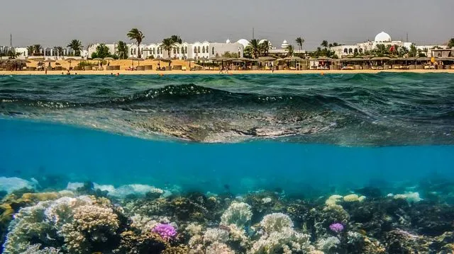 Egypt modernises nature reserves and ports along Red Sea to protect coastal and marine ecosystems