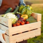 Indonesia strengthens food security with self-sufficiency in eight key commodities