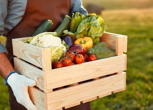 Indonesia strengthens food security with self-sufficiency in eight key commodities