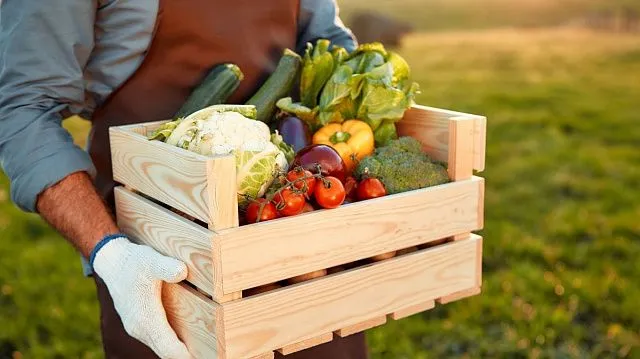 Indonesia strengthens food security with self-sufficiency in eight key commodities