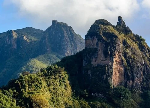 Ethiopia’s 106 protected areas trial digital wildlife monitoring system