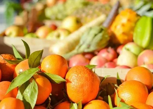 Egypt’s agricultural exports surpass 5.8 million tonnes as citrus, potatoes and grapes lead record growth