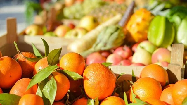 Egypt’s agricultural exports surpass 5.8 million tonnes as citrus, potatoes and grapes lead record growth