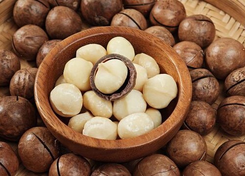 Macadamia production in Zimbabwe set to rise by up to 40% in 2026