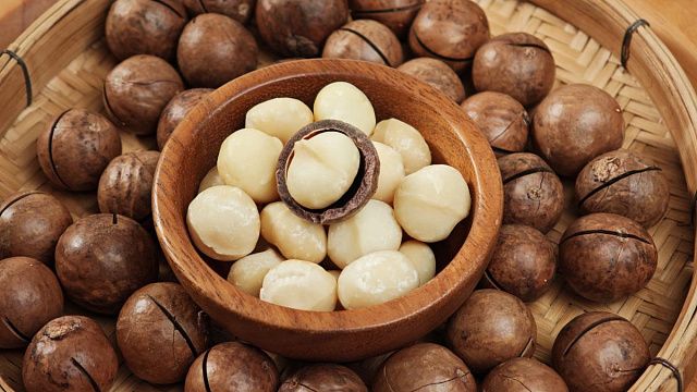 Macadamia production in Zimbabwe set to rise by up to 40% in 2026
