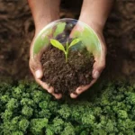 China unveils new forest strategy to expand national tree cover by 2030