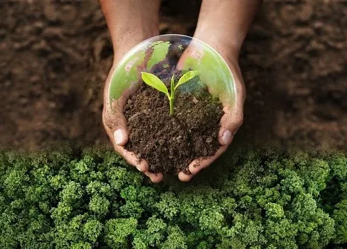 China unveils new forest strategy to expand national tree cover by 2030