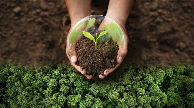 China unveils new forest strategy to expand national tree cover by 2030